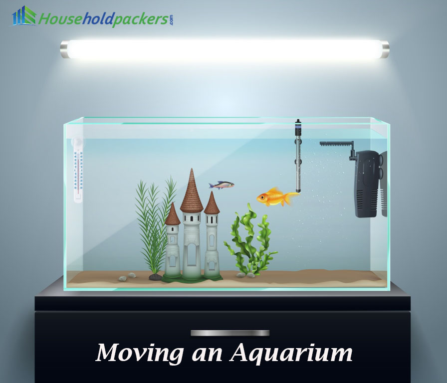 Moving an aquarium? Follow these 10 Simple Steps for a Safe and Easy Move 