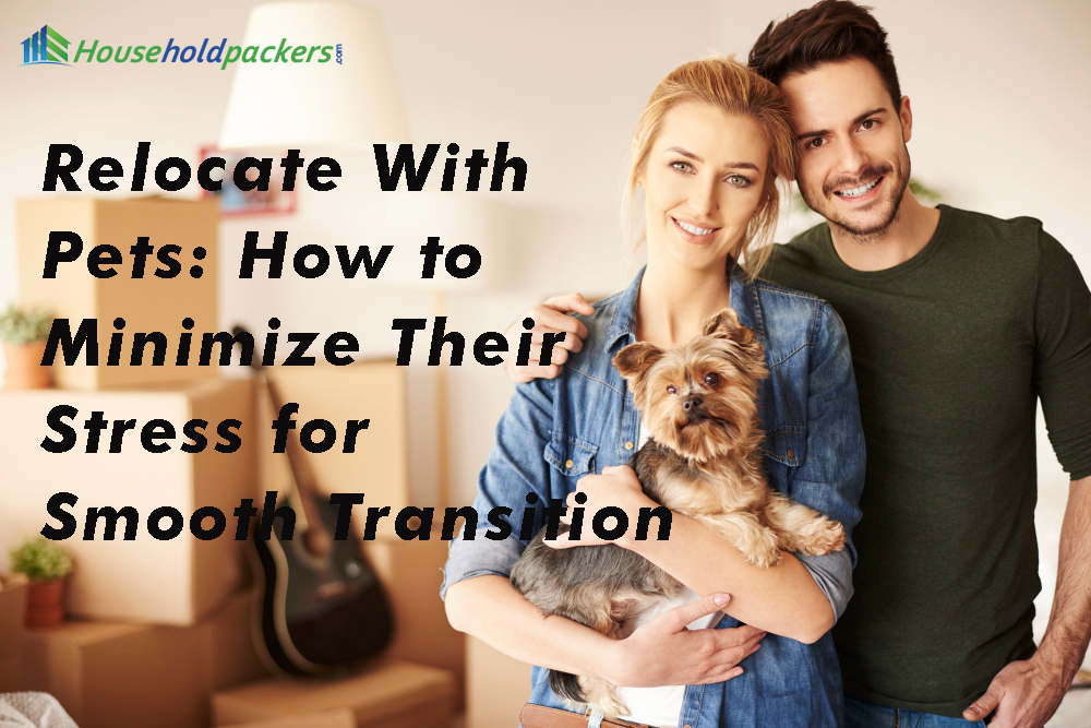 Relocate With Pets: How to Minimize Their Stress for Smooth Transition